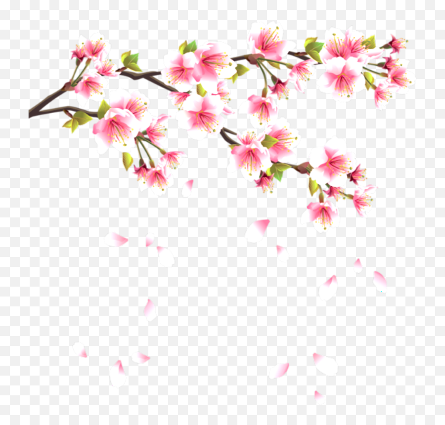 Download Flower Flowerpentals Pentals Pental Falling Pink - Sakura Flower Transparent Png,Japanese Flower Png