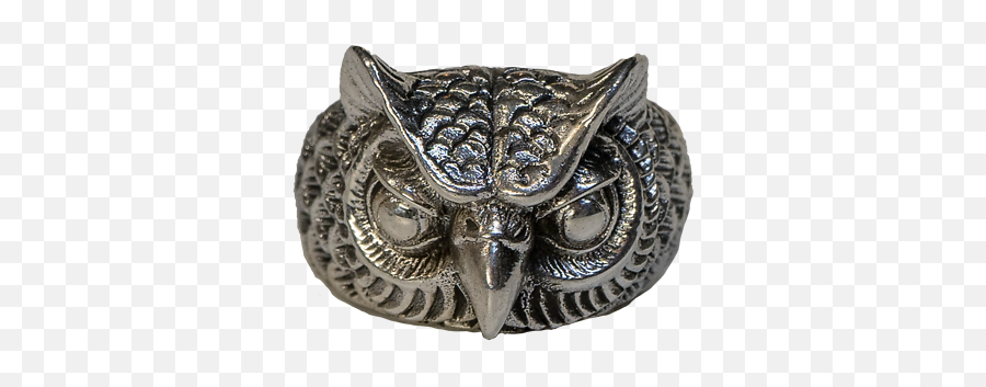 Owl Head Ring925 Solid Sterling Silver Metal Biker Gothic Punk Hedwig Potter Ebay - Solid Png,Hedwig Png