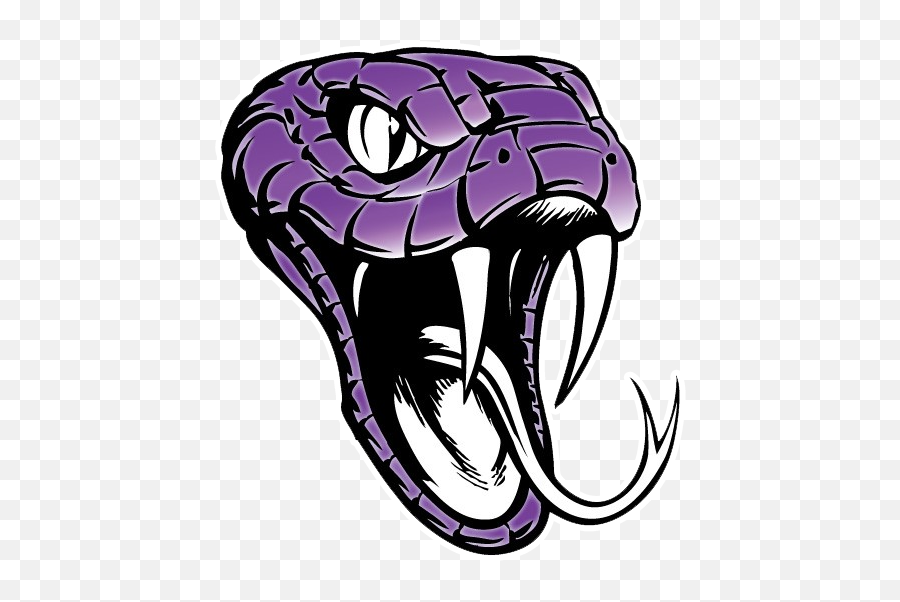 Snake Head Clip Art Png Image With No - Transparent Background Snake Head Png,Snake Head Png