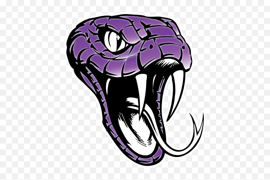 snake head png