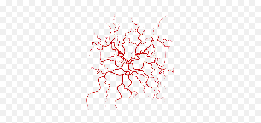 Fortunately There Are Many Treatments - Transparent Red Veins Png,Veins Png