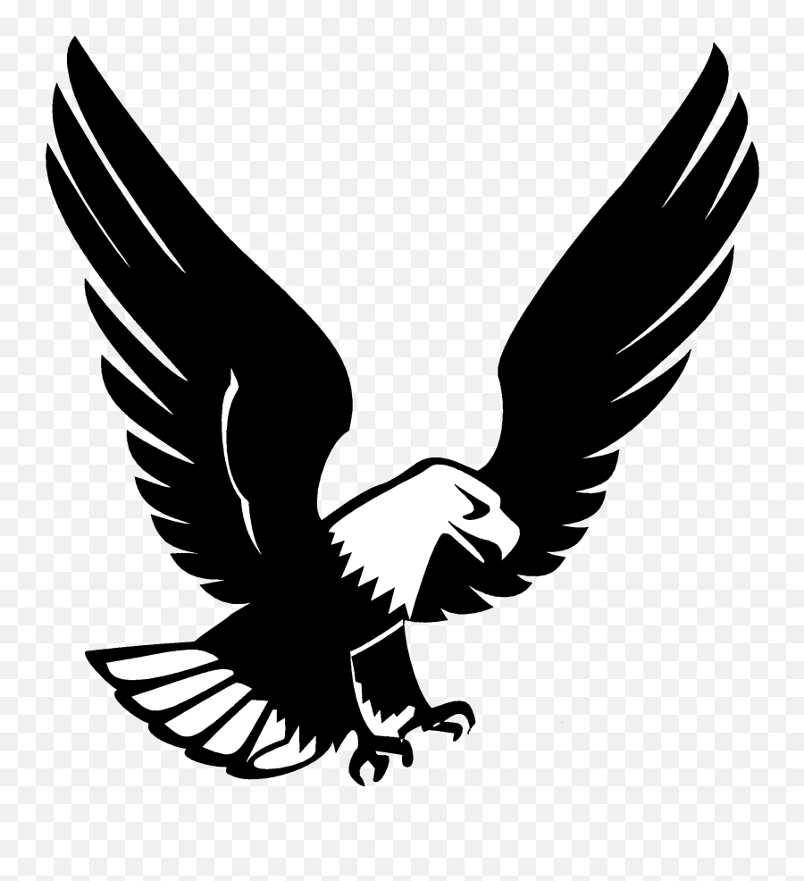 Swanson Elementary School - Elmbrook Schools Swanson Eagles Png,Golden Eagles Logos