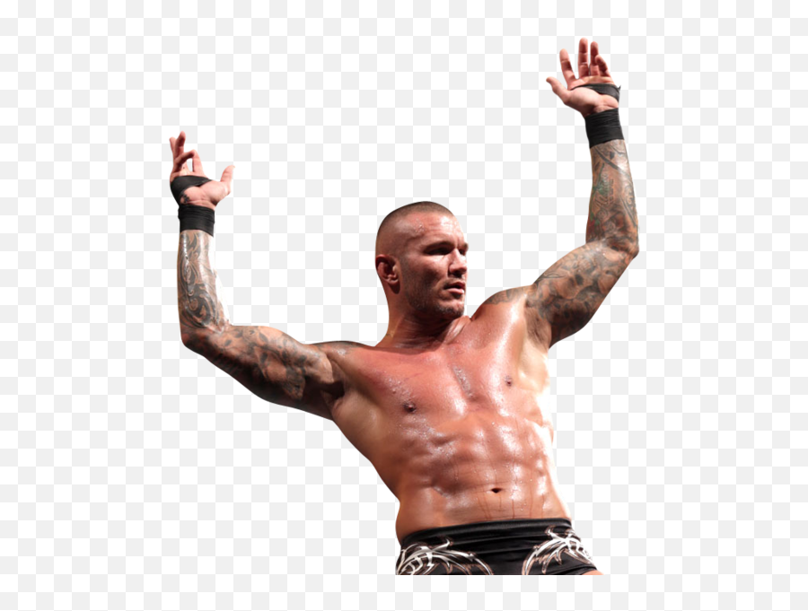 Randy Orton - Randy Orton Rko Png,Randy Orton Png