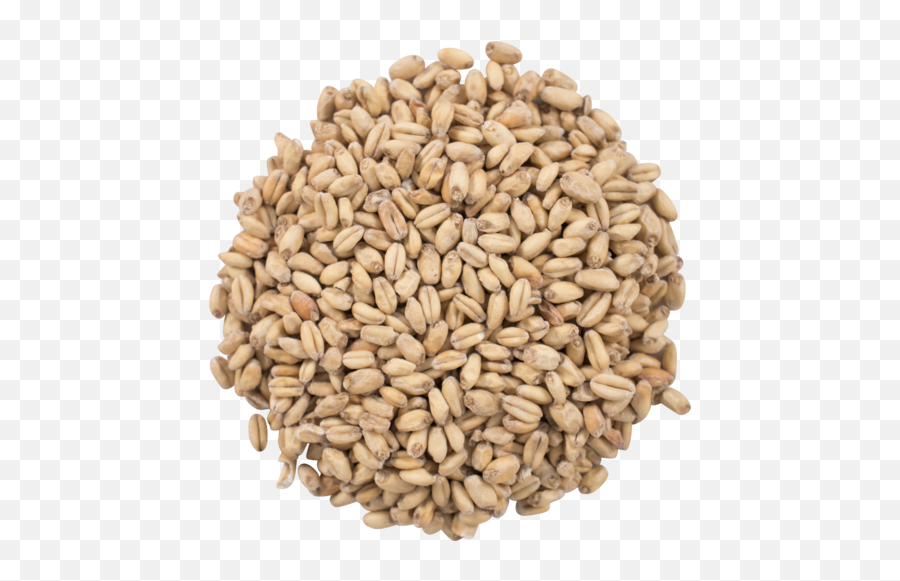 Download Hd Great Western White Wheat - Wheat Malt Png,Grains Png