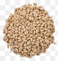 Download Hd Great Western White Wheat - Wheat Malt Png,Grains Png