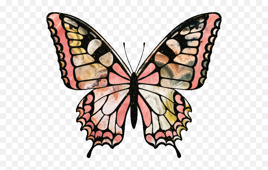 Butterfly Gifs - Get The Best Gif On Giphy Girly Png,Butterfly Gif Transparent