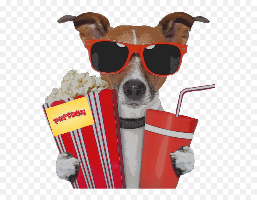 Dog Movie Sunglass Popcorn Movietheater Movietime - Dog Movie Png,Movie Popcorn Png