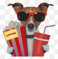 Dog Movie Sunglass Popcorn Movietheater Movietime - Dog Movie Png