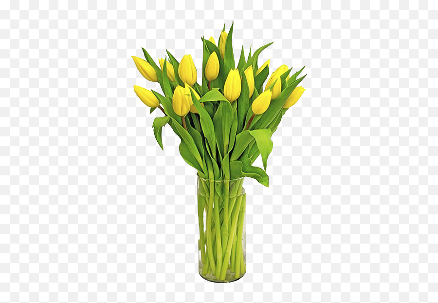 Yellow Tulips Png Transparent Background Flower