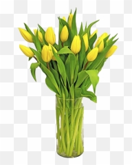 Yellow Tulips Png Transparent Background