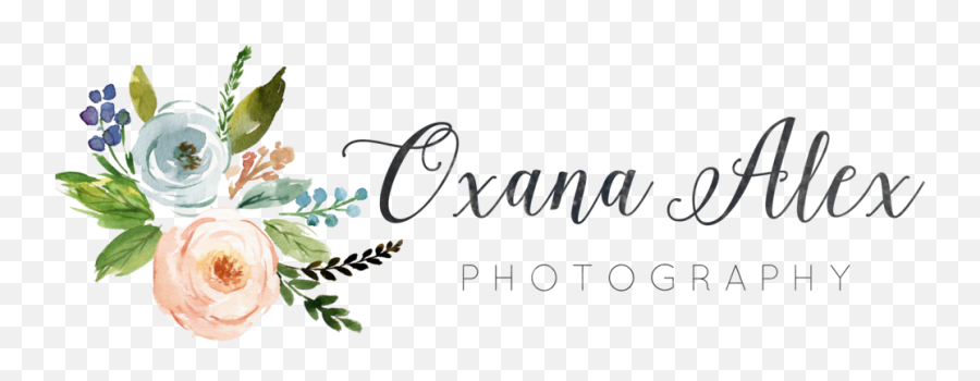 Beautiful Pregnency U2014 Mini Beach Session Oxana Alex - Transparent Glam Logo Design Png,Wander Over Yonder Icon