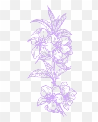 Purple Hawaiian Flower Svg Vector - Floral png