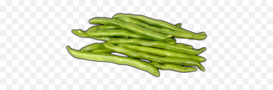 Vegetables - Green Beans Learn About Grean Beans Grean Okra Png,Green Beans Png
