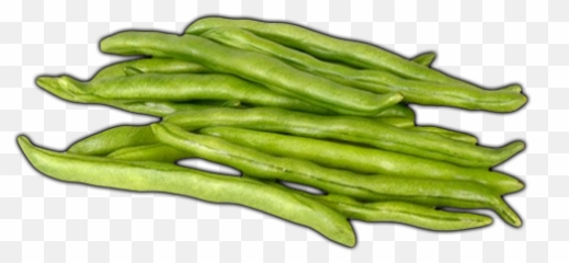 Vegetables - Green Beans Learn About Grean Beans Grean Okra Png,Green Beans Png