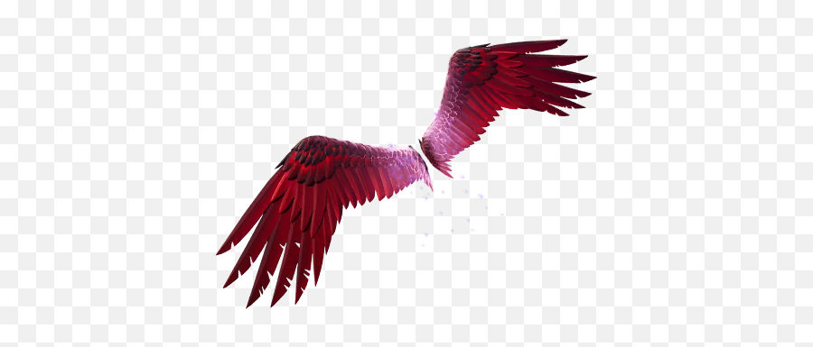 Fortnite Eagleu0027s Form Glider - Esportinfo Eagles Form Glider Png,Glider Icon