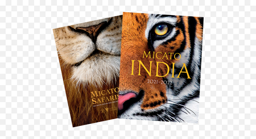 The Soul Of India - Luxury Indian Safari Micato Safaris 2021 Request Free Brochures By Mail Png,Vivacious Icon Suite