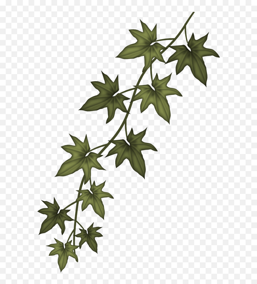Download Ivy Clip Art Free - Sizzix Garden Greens Thinlits Ivy Branch Png,Ivy Png