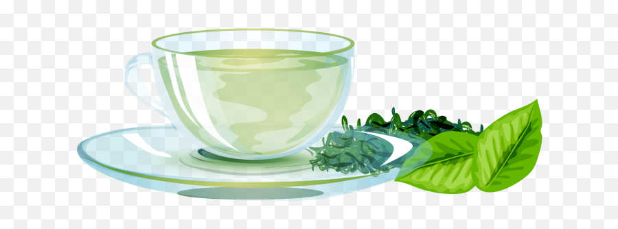 Green Tea Cosmetics Herb Icon - Natural Herbs Png Download Green Tea Transparent Cup Hd,Matcha Tea Icon