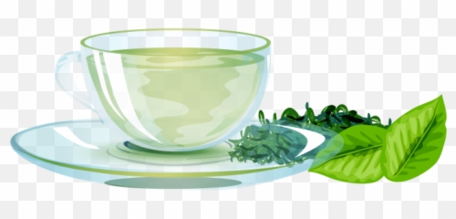 Green Tea Cosmetics Herb Icon - Natural herbs png download Tea Transparent Cup Hd