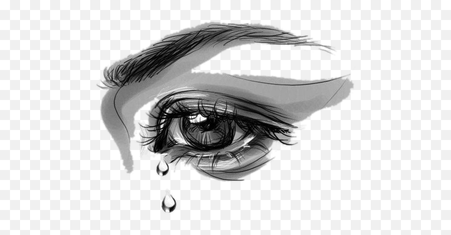 Eye Tears Crying Nasolacrimal Duct U - Transparent Cry Eye Png,Crying Tears Png