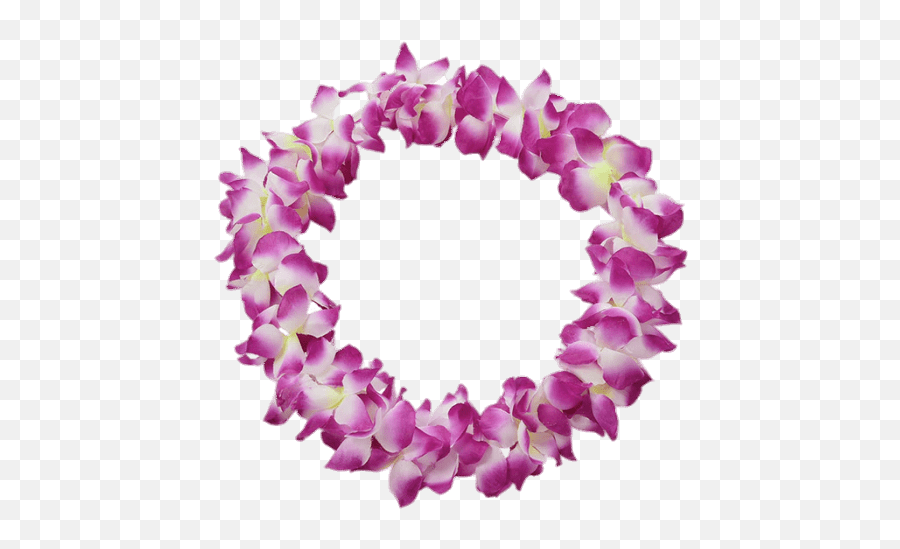 Purple Hawaiian Flower Necklace - Beach Theme Flower Garland Png,Hawaiian Flowers Png