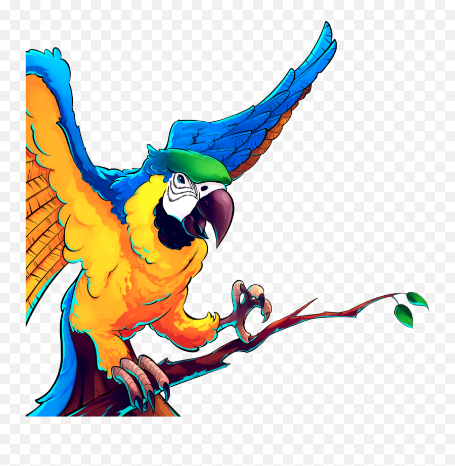 Parrot Gems Of War Wikia Fandom - Cartoon Macaw Png,Parrot Png