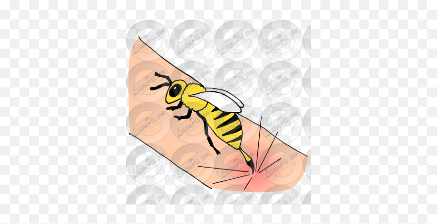 Sbabcp35 - Bee Sting Png,Sting Png