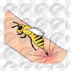 Sbabcp35 - Bee Sting Png,Sting Png