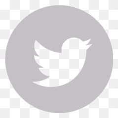 Silver Twitter 4 Icon - Free silver social icons Twitter App png