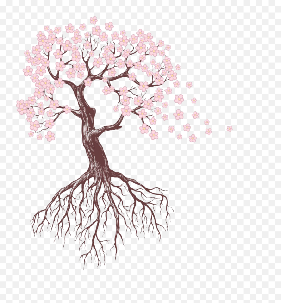 Blossom Drawing Sakura Tree Picture 1313202 - Tree With Flowers Drawing Png,Cherry Blossom Tree Png