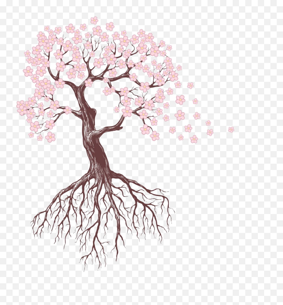 Blossom Drawing Sakura Tree Picture 1313202 Tree With Flowers Drawing Png Cherry Blossom Tree Png Free Transparent Png Images Pngaaa Com