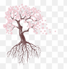 Cherry Blossom Tree Roblox Cherry Blossom Tree Roblox Png Free Transparent Png Image Pngaaa Com - sakura tree roblox model