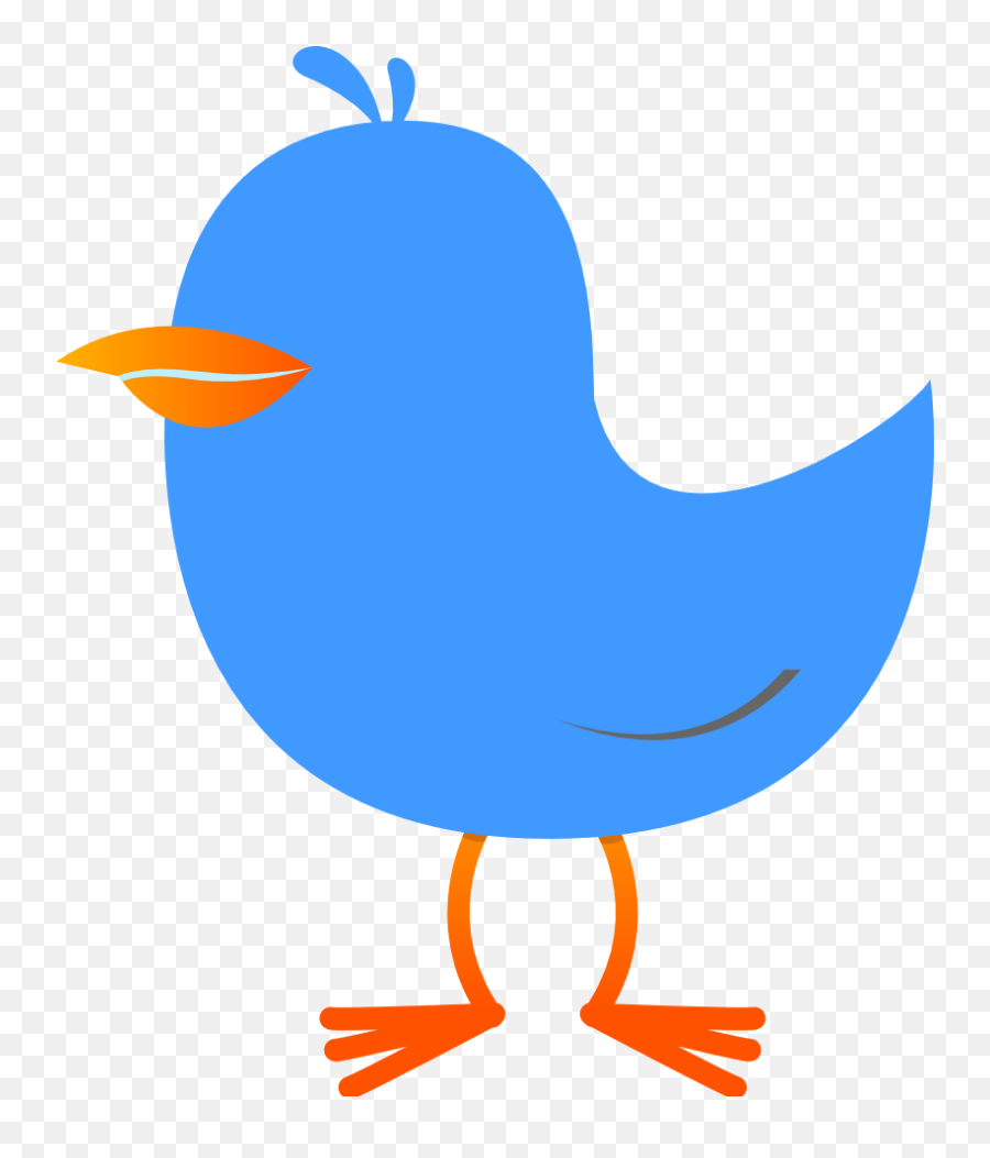Twitter Bird Tweet 37 999px 36 - Purple Bird Clip Art Bird Cartoon Gif Png,Twitter  Bird Png - free transparent png images 