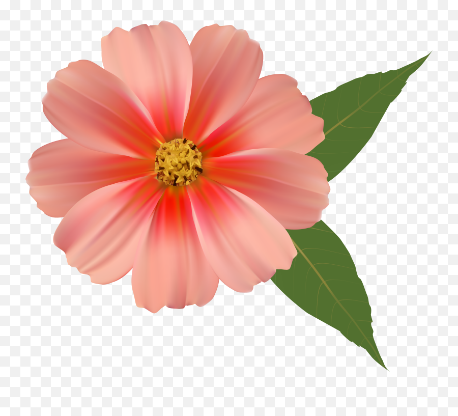 Single Flower Transparent Png Clipart - Single Flower Transparent Background,Single Flower Png