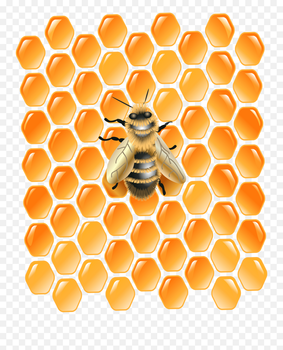 Bee Png Clip Art Image - Honeycomb With Honeybee Clipart,Honeycomb Png