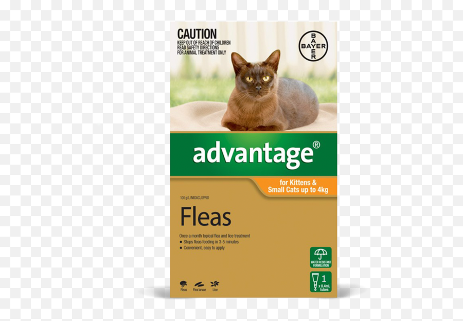 Advantage For Kittens Small Cats - Advantage Flea Treatment For Small Cats Ingredients Png,Orange Cat Png