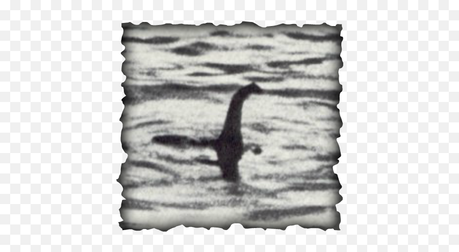 Download Hd The Loch Ness Monster Hoax Was About Two Guys - Nessie Monster Png,Loch Ness Monster Png