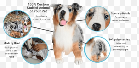 Custom Stuffed Animals Of Pets 100 Quality Guarantee Petsies - Rough Collie Png,Stuffed Animal Png