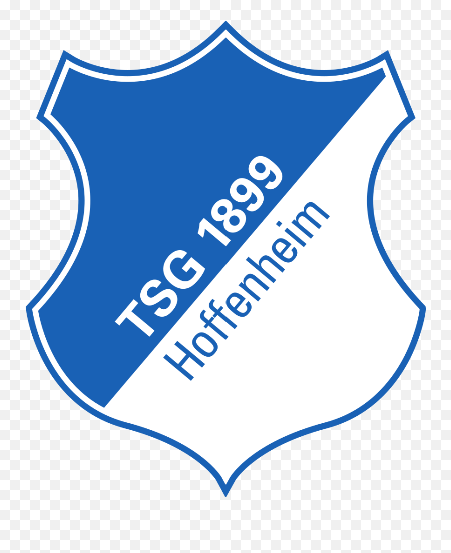 Logo Tsg Hoffenheim - Hoffenheim Logo Png,256x256 Logos