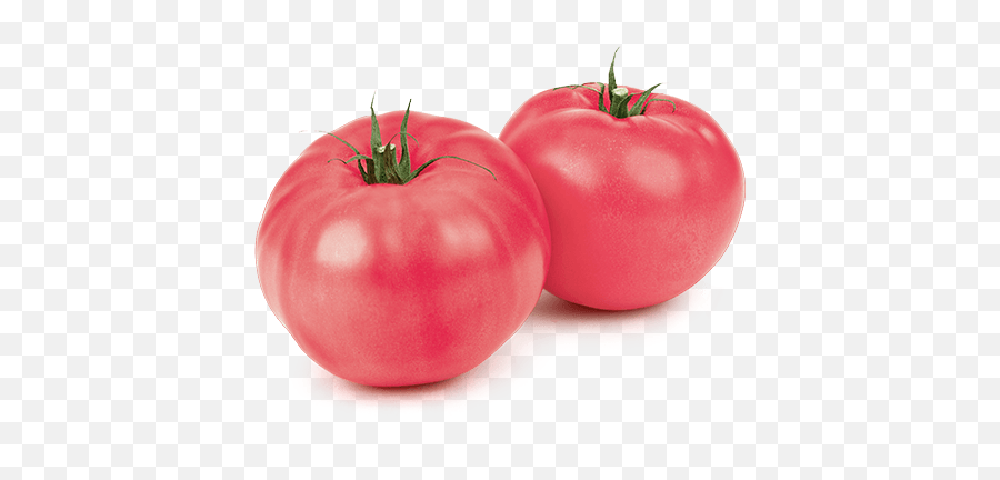Mucci Farms - Pink Tomato Png,Tomato Png