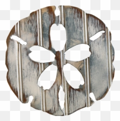 Sand Dollar - Lampshade Png,Sand Dollar Png