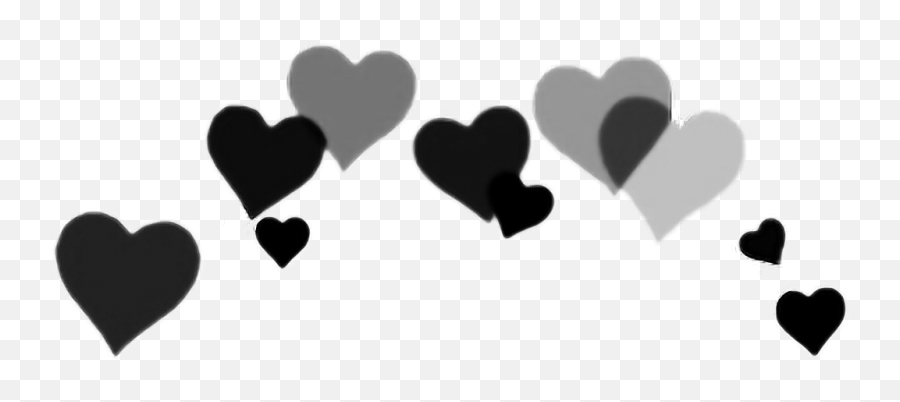 Photography - Heart Transparent Snapchat Filter Png,Black Hearts Png