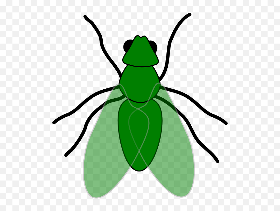 Fly Insect Clipart Hd Png Download - Fly Clip Art,Fly Clipart Png