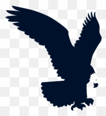 Pin - Silueta De Aguila Arpia png