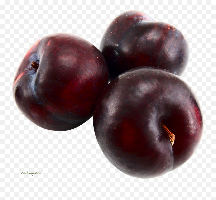 Plum Png Image For Free Download - Plum,Plum Png