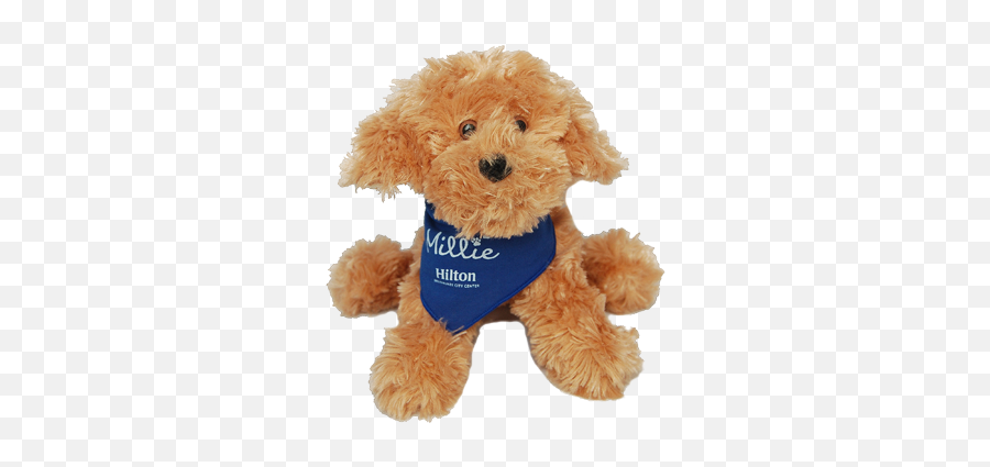 Toy Dog - Millie At The Hilton Png,Dog Toy Png