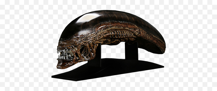 Alien New Warrior Life - Xenomorph Head Sculpt Png,Xenomorph Transparent