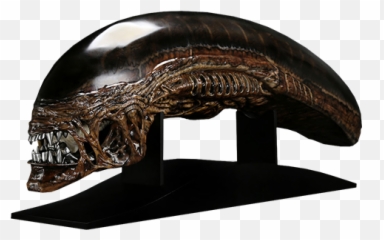 Alien New Warrior Life - Xenomorph Head Sculpt Png,Xenomorph Transparent