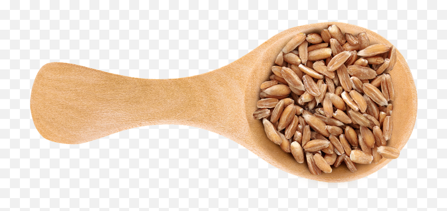 8 Wholesome Grains We Cant Get Enough Of - Freekeh Png,Grains Png