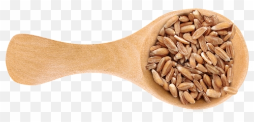 8 Wholesome Grains We Cant Get Enough Of - Freekeh Png